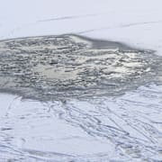 Illustrationsbild. Bilden är tagen i Malmö 2016. 