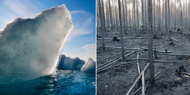 Klimatfrågan är nu väljarnas viktigaste fråga, enligt en Demoskopmätning. TT