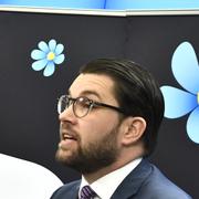 SD:s ekonomiskpolitiske talesperson Oscar Sjöstedt och partiledare Jimmie Åkesson. Arkivfoto.