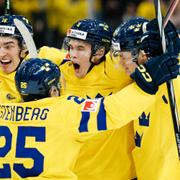 Theo Lindstein jublar efter 3–3 mot Finland. 