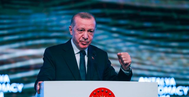 Recep Tayyip Erdogan. AP