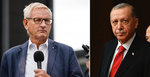 Carl Bildt/Erdogan. TT
