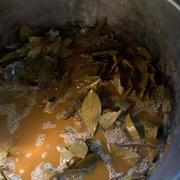 En ayahuascabrygd. Illustrationsbild.