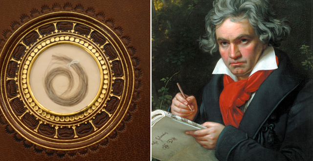 Hårlock som analyserats i projektet/Ludwig van Beethoven TT/Wikimedia Commons