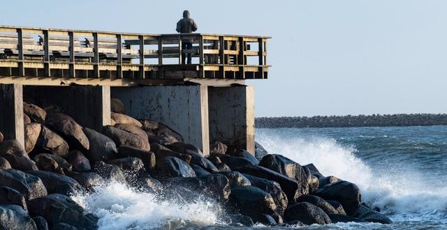 En man spanar ut över Östersjön från Ystad/arkiv.  Johan Nilsson/TT / TT NYHETSBYRÅN