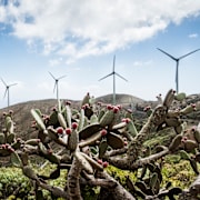 Illustrationsbild. Bilden är från ett annat ställe.