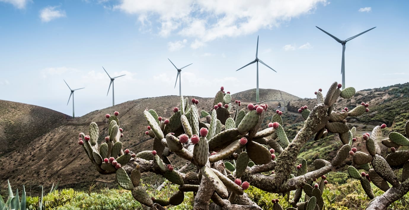 Illustrationsbild. Bilden är från ett annat ställe.