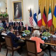 Trump och de europeiska ledarna i Vita huset.