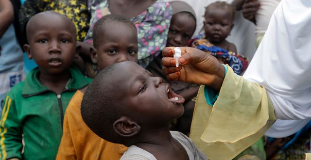 Barn i Nigeria får poliovaccin. Sunday Alamba / TT NYHETSBYRÅN