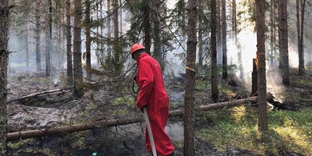 Kraftig Skogsbrand I Dalarna Omringad