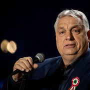 Opinionsmätningarna visar att Orbán ligger efter sin utmanare inför söndagens val i Ungern. Samtidigt kommer uppgifter om rysk valpåverkan.