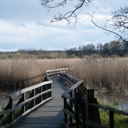 Uppsala tingsrätt / Hjälstavikens naturreservat.