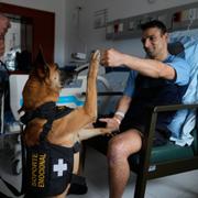 Hunden Kratos träffar sergeanten Jeisson Sanchez på militärsjukhuset i Bogotá.