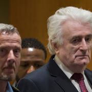 Karadzic i rättssalen i mars.