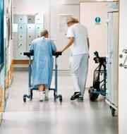 Illustrationsbild. En kvinnlig patient med en rollator får hjälp av personal att ta sig fram i en korridor på ett sjukhus 
