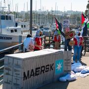 Illustrationsbild. Propalestinska demonstranter protesterar mot danska rederiet Maersk i Los Angeles. 