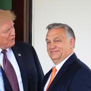 Donald Trump och Viktor Orbán.