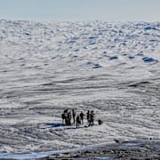 Arkivbild på danska soldater på Grönland.
