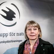 Karin Lexén, generalsekreterare i Naturskyddsföreningen