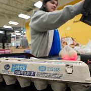 Ett kassabiträde slår in en kartong ägg i Dallas. Priset på ägg har blivit symboliskt viktigt i debatten om de amerikanska levnadskostnaderna.