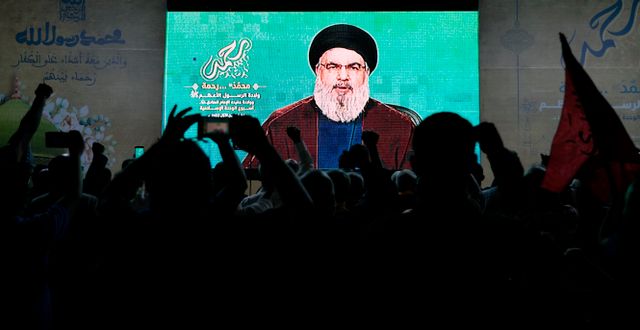 Hizbollahs ledare Sayyed Hassan Nasrallah talar i oktober. Bilal Hussein / AP