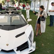 Lamborghini Veneno Roadster.