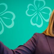 Annie Lööf under talet på fredagen.