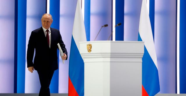 Vladimir Putin. Dmitry Astakhov / AP