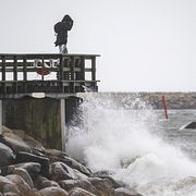 Stormspanare på badbryggan vid småbåtshamnen i Ystad.