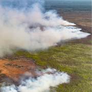 Marina Silva den 5 juni 2024. Arkivfoto: Brand i Pantanal nära Pocone, Brasilien, november 2023. 