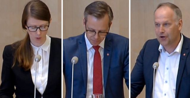 Mikael Damberg (S), Lise Nordin (MP) och Jonas Sjöstedt (V). Riksdagen