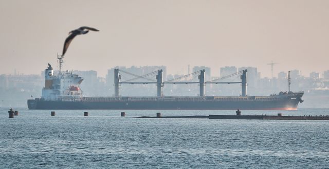 Fartyget som lämnat Odesa.  Nina Lyashonok / AP