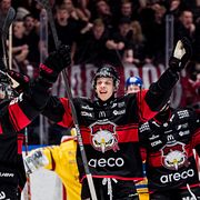 Malmö Redhawks.