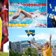 Bilder från sportåret 2015.