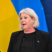 Socialtjänstminister Camilla Waltersson Grönvall (M).