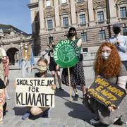 Klimatstrejk utanför riksdagen.