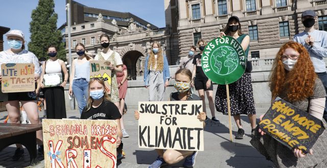 Klimatstrejk utanför riksdagen. Christine Olsson / TT NYHETSBYRÅN