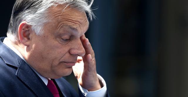 Ungerns premiärminister Viktor Orbán.  Kenzo Tribouillard / TT NYHETSBYRÅN