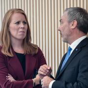 Annie Lööf och Jan Björklund. 