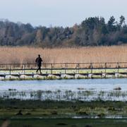 Naturreservatet Hjälstaviken i Enköpings kommun är ett populärt besöksmål för friluftsliv och fågelskådare. Bilden är tagen efter det misstänkta mordet.