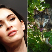 Megan Fox / Varg