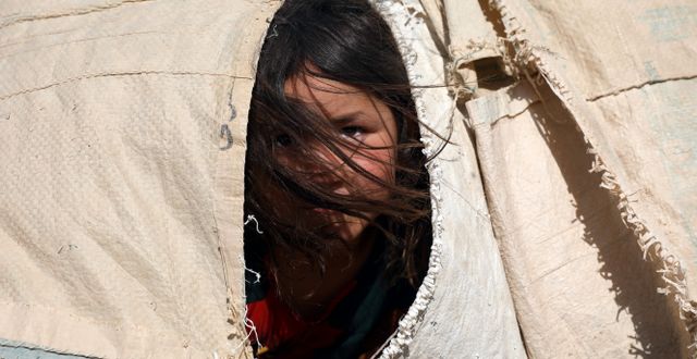 En flicka som flytt undan strider mellan talibanerna och Afghanistans säkerhetsstyrkor.  Rahmat Gul / TT NYHETSBYRÅN