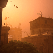 Pressbild från det vinnande spelet.