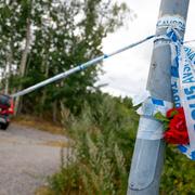 Bild från området där 17-åringen hittades, juli 2022.