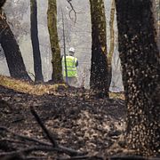 En skogsbrand i Delsjöområdet i Göteborg i början av maj.