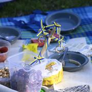 Midsommarfirande.