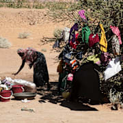 Sudanese women displaced from El-Fasher wash and hang clothes to dry on a tree at the newly established El-Afadh camp in Al Dabbah, in Sudan's Northern State, Sunday, Nov. 16, 2025. (AP Photo/Marwan Ali)  HAS102
