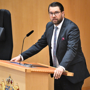 Stefan Löfven och Jimmie Åkesson.