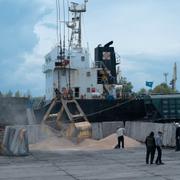 Arbetare i en hamn i Ukraina lastar vete för transport över Svarta havet.