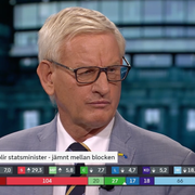 Carl Bildt